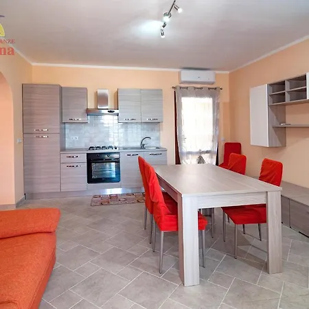 City Tatil Evi