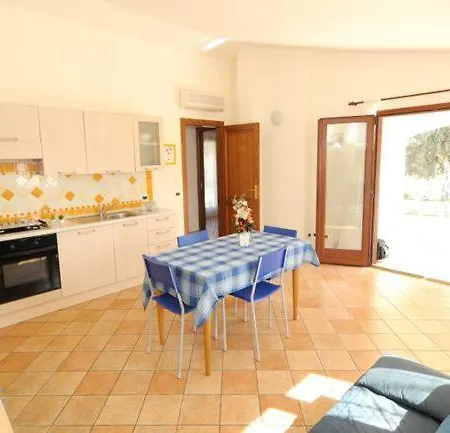 City Tatil Evi